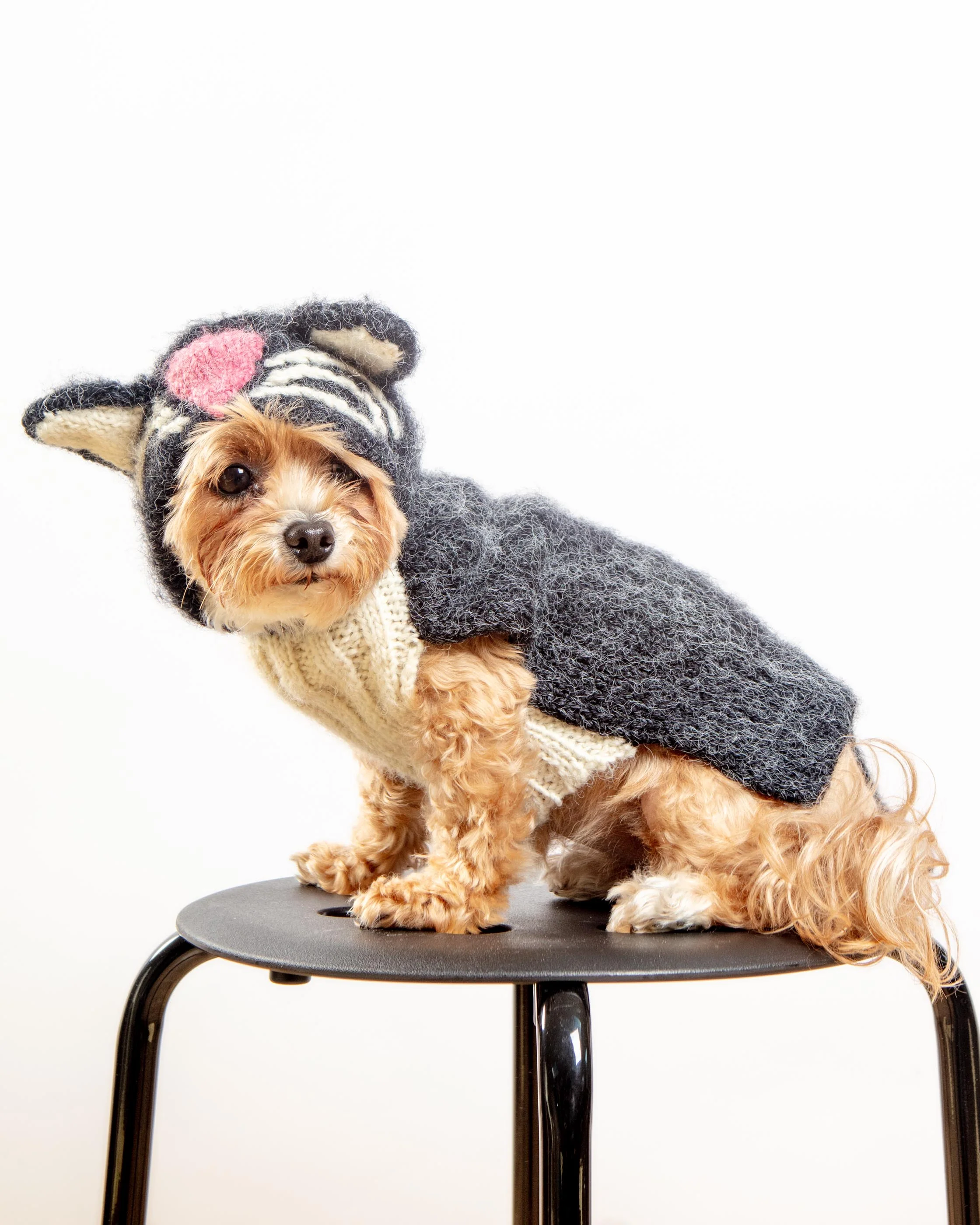 Kitty-Kat Handknit Dog Sweater (DOG & CO. Exclusive) - Image 3