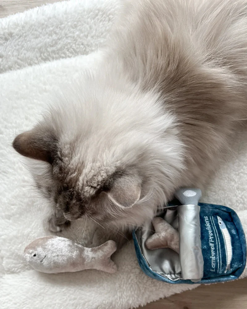 Kitty Sardines Snuffle Cat Toy - Image 5