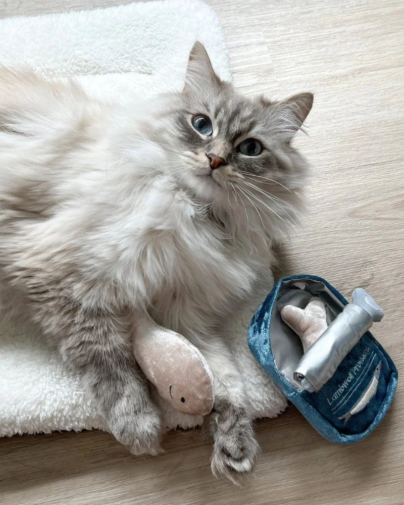 Kitty Sardines Snuffle Cat Toy - Image 6