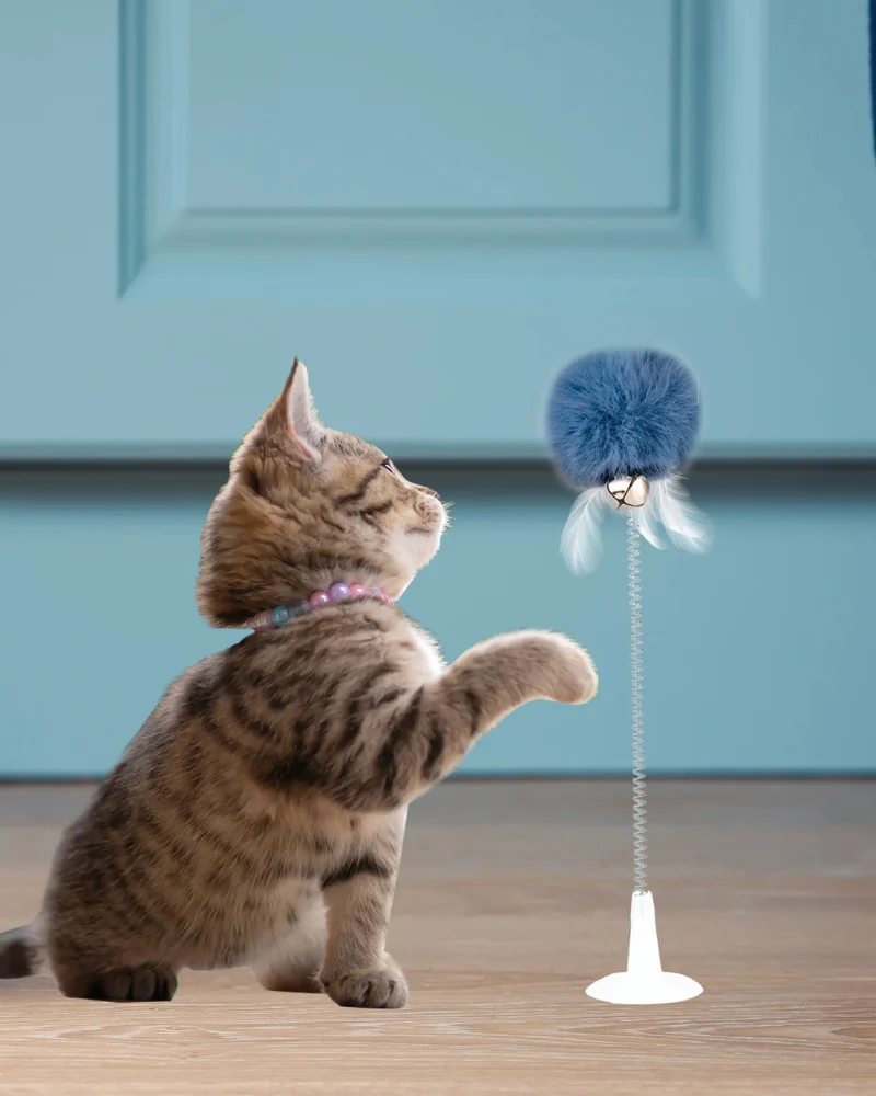Kitty Spring Cat Toy w/ Suction Cup - Image 2