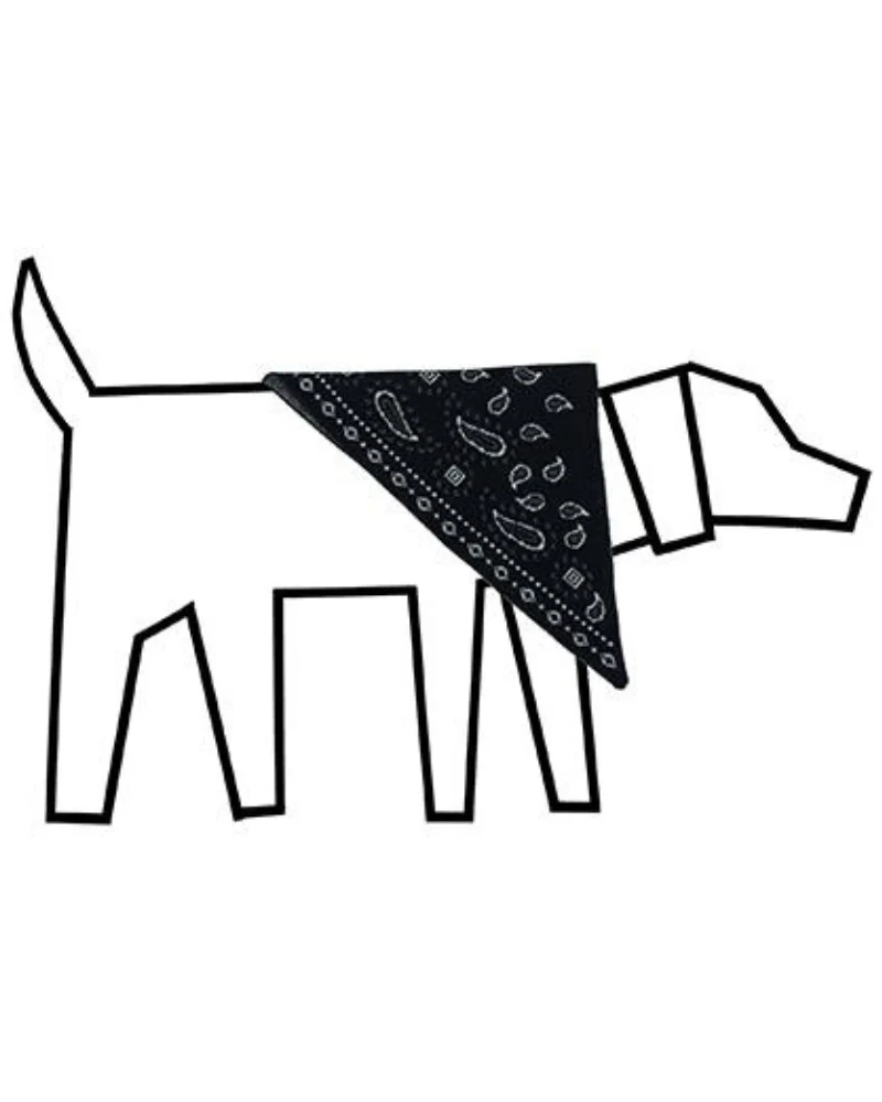 Knit Dog Bandana in Black Merino Wool (FINAL SALE) - Image 3