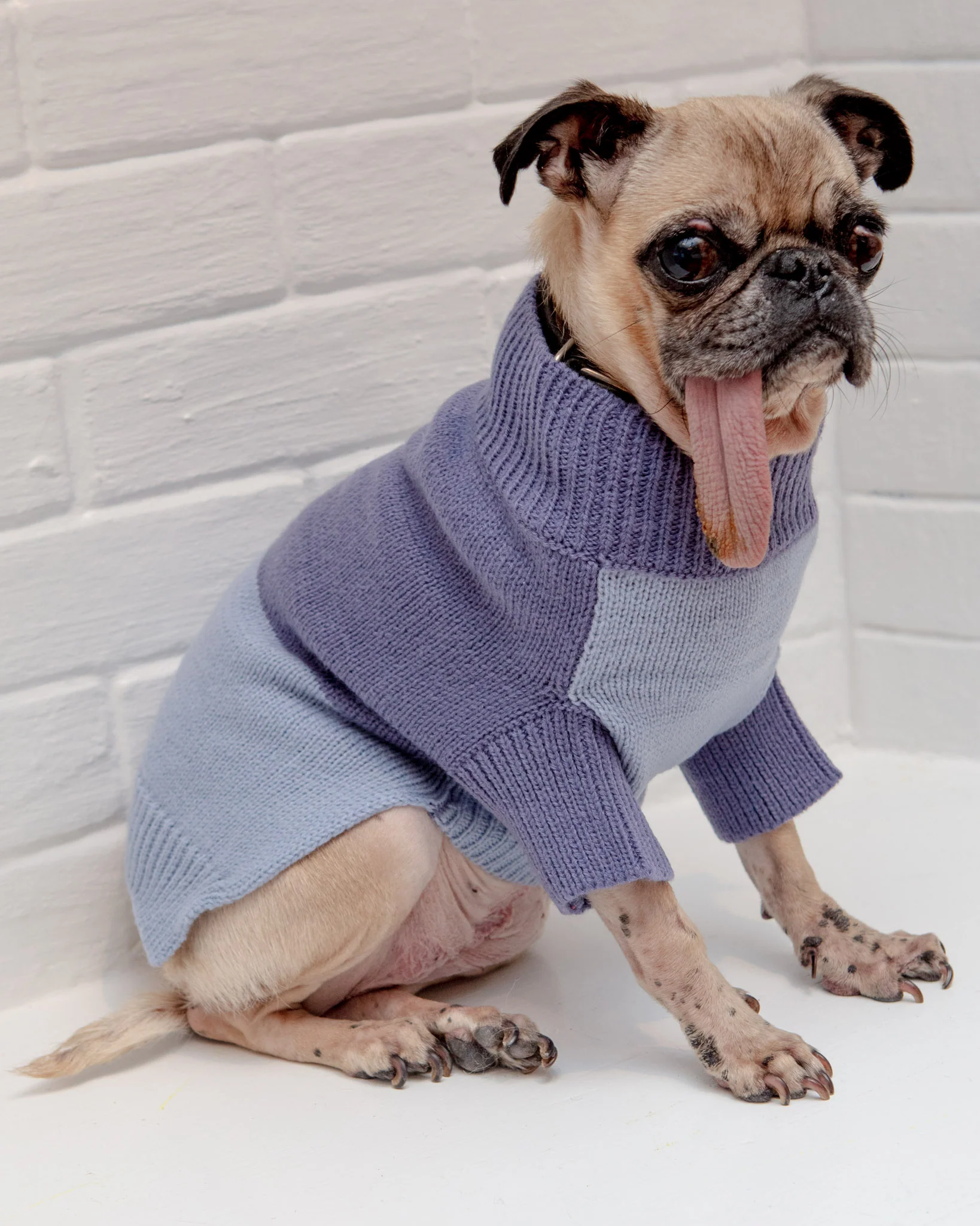 Colorblock Knit Dog Sweater in 2-Tone Blue<br>((FINAL SALE))
