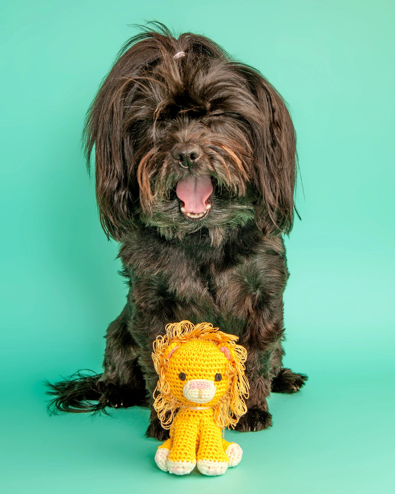 Lion Organic Knit Dog Toy - Image 2
