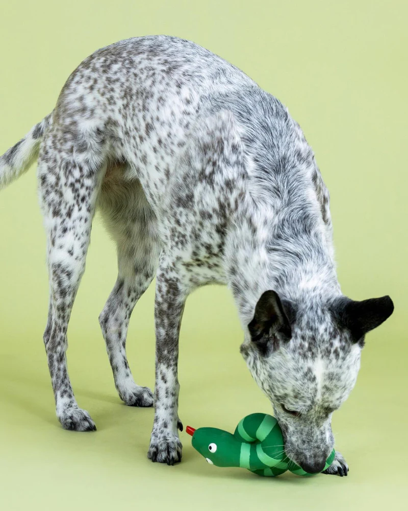 Knotty by Nature Squeaky Latex Dog Toy - Image 6