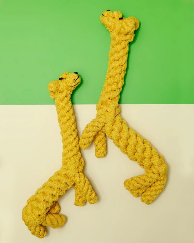 Giraffe Rope Dog Toy