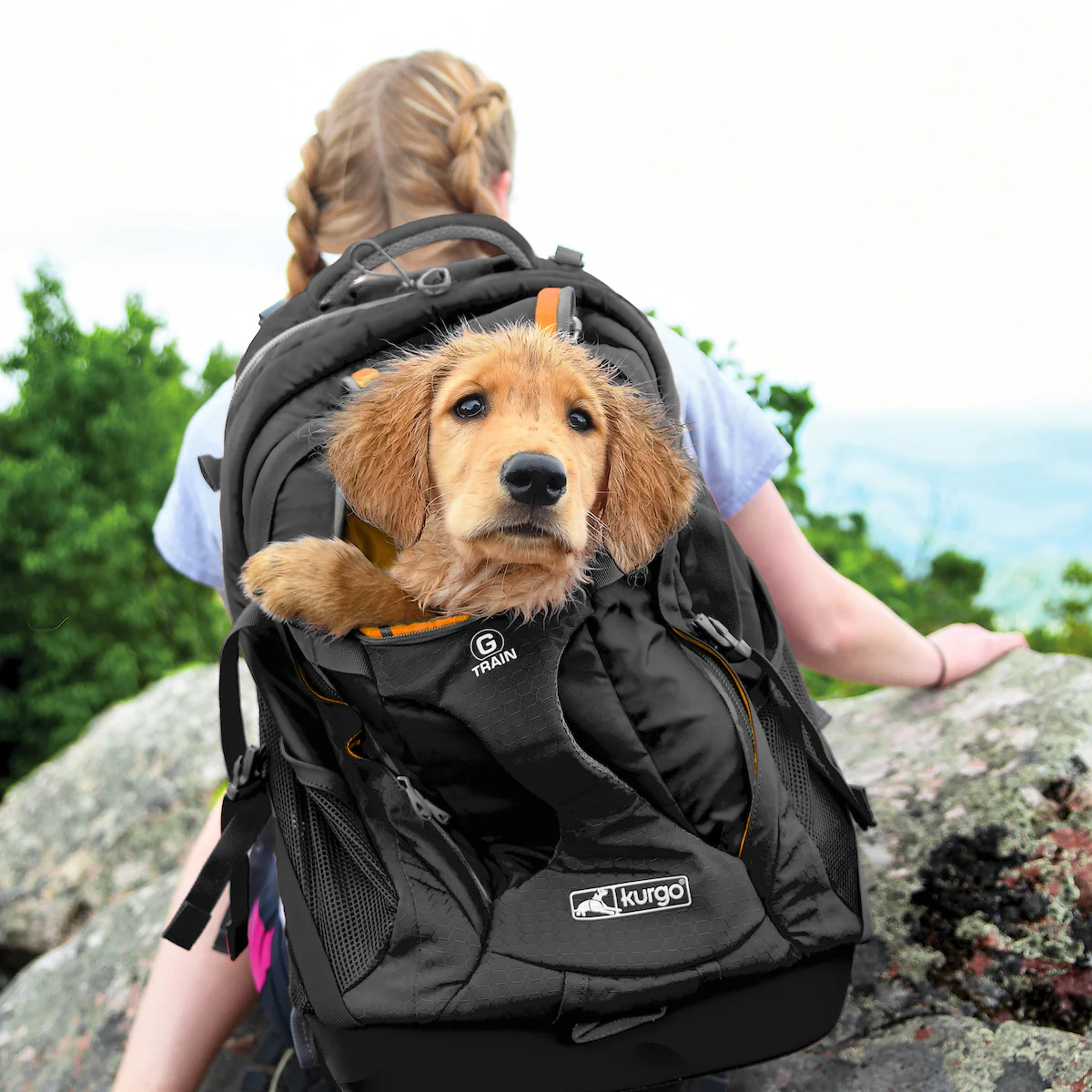 KURGO | G-Train Backpack in Black - Image 2