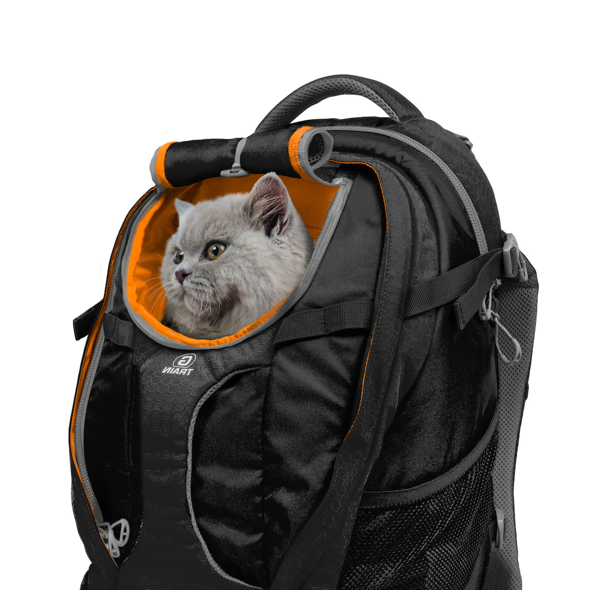 KURGO | G-Train Backpack in Black - Image 3