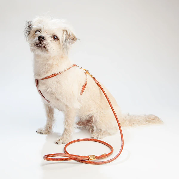 Italian Leather Dog Harness in Luggage Brown - Image 4
