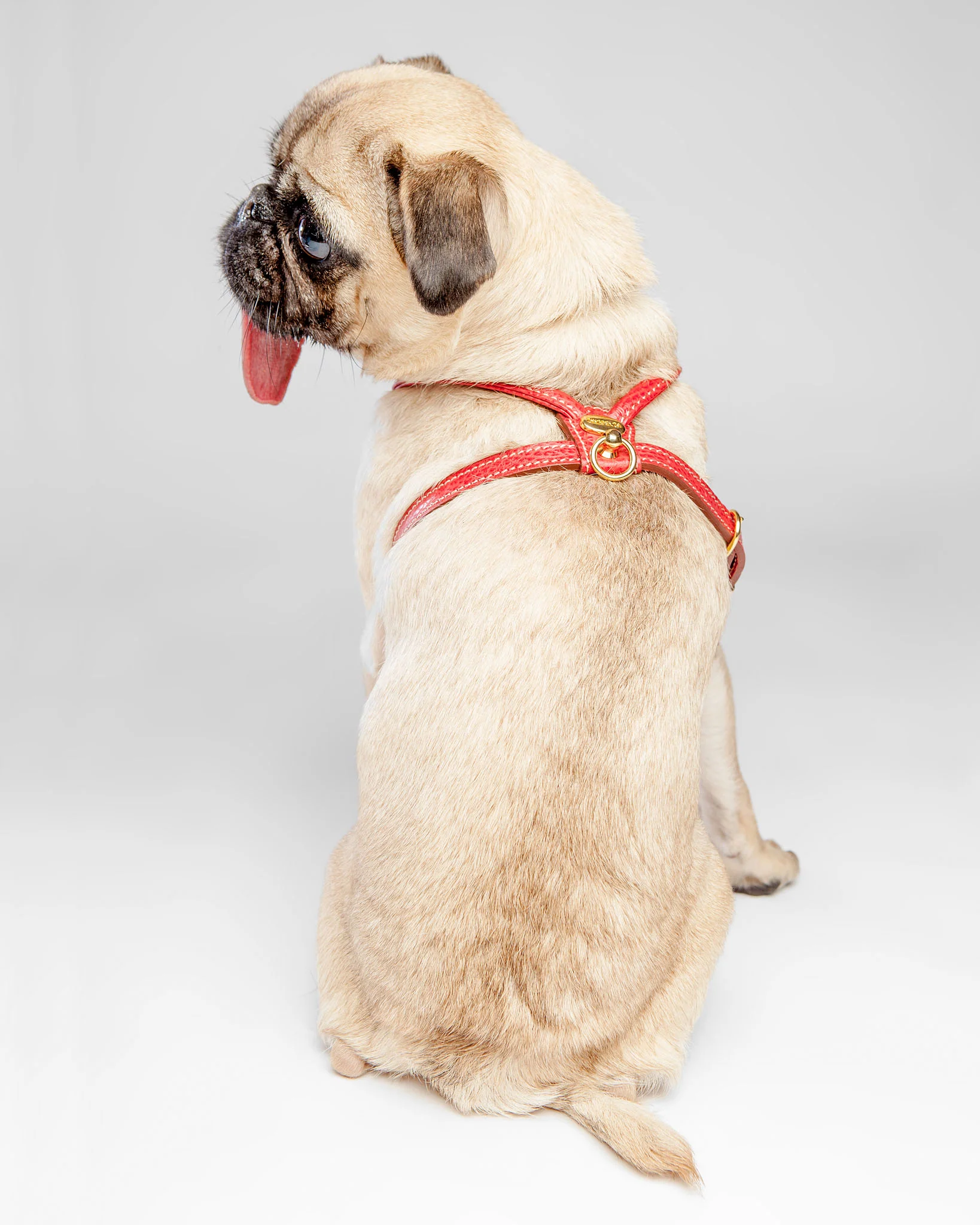 Italian Leather Harness in Red (FINAL SALE) - Image 2