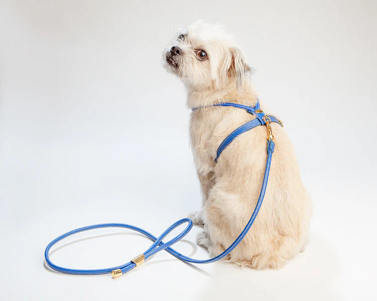 Italian Leather Leash in Blue - Image 3