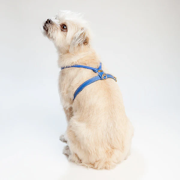 Italian Leather Leash in Blue - Image 5