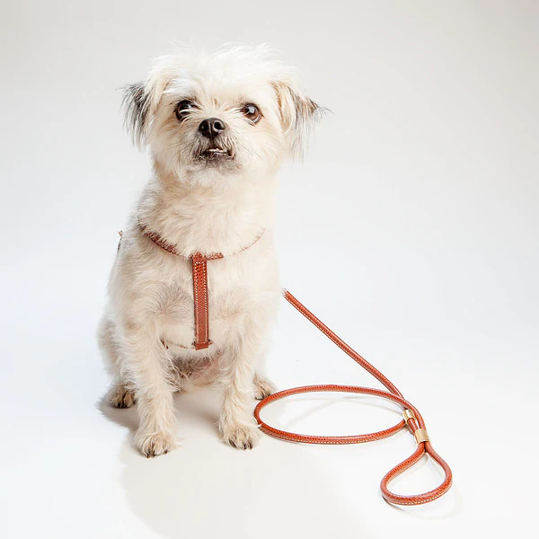 Italian Leather Dog Leash in Luggage Brown - Image 3