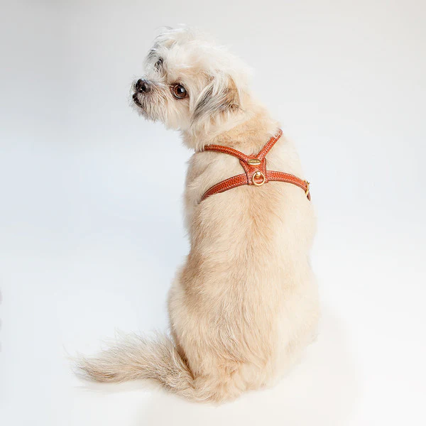 Italian Leather Dog Leash in Luggage Brown - Image 4