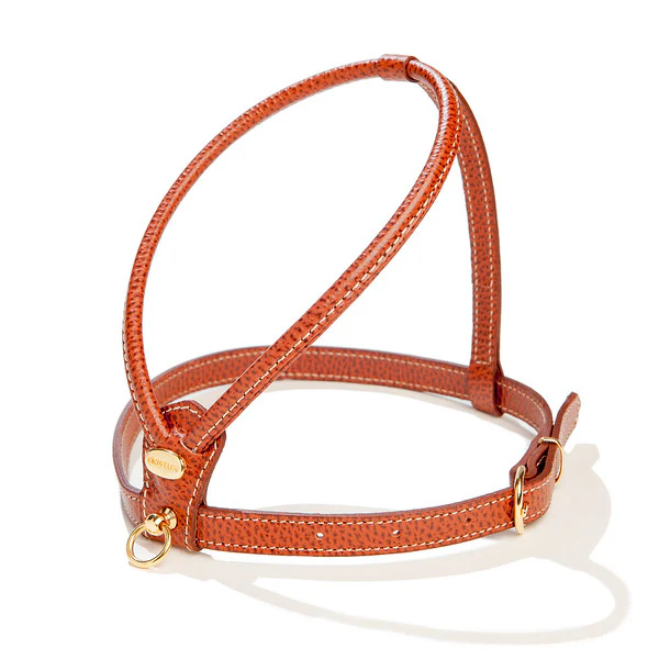 Italian Leather Dog Leash in Luggage Brown - Image 5