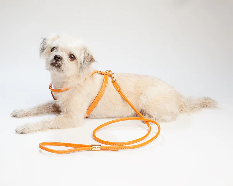 Italian Leather Dog Leash in Orange - Image 3