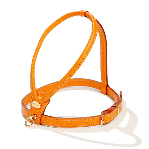 Italian Leather Dog Leash in Orange - Image 5