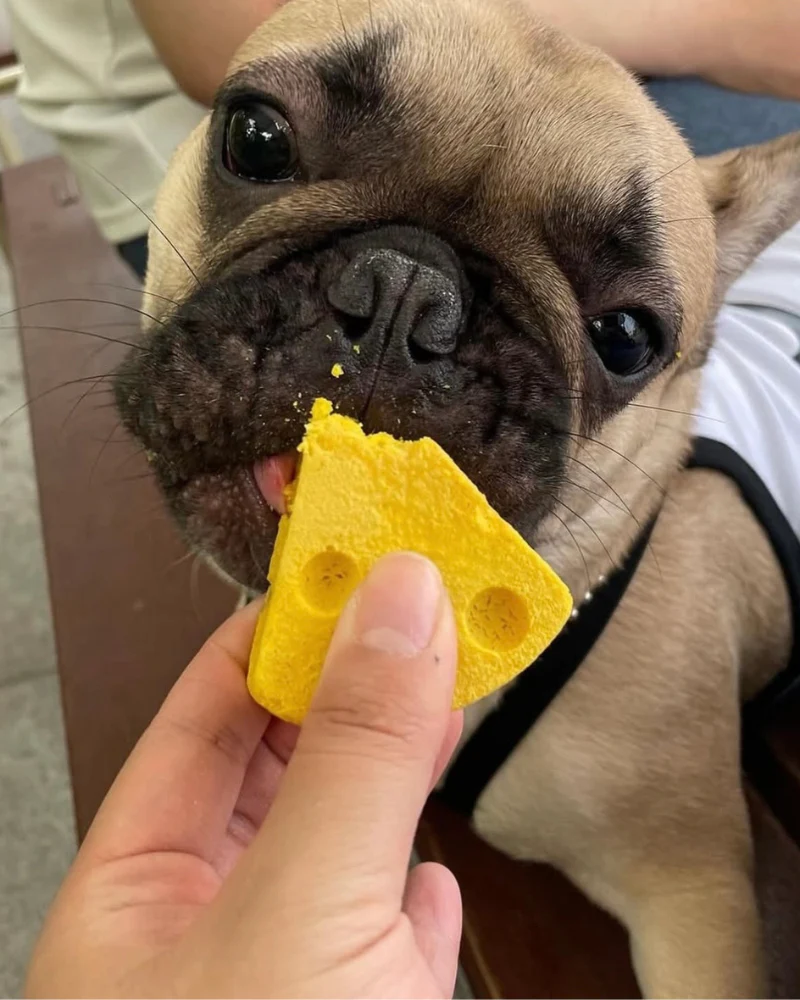 Lactose-Free Mung Cheese Dog Treats - Image 3