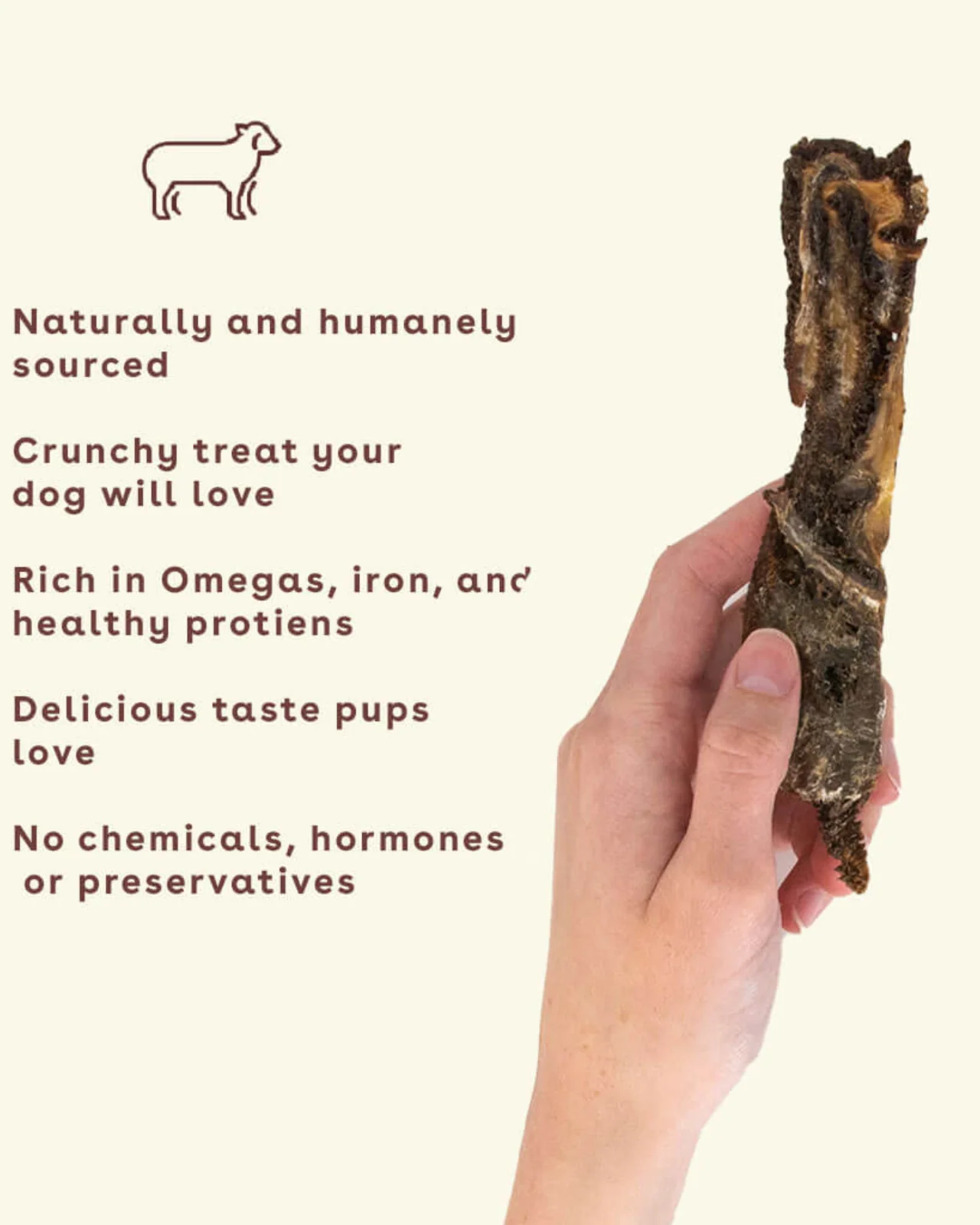 Lamb Jerky Dog Treats - Image 2