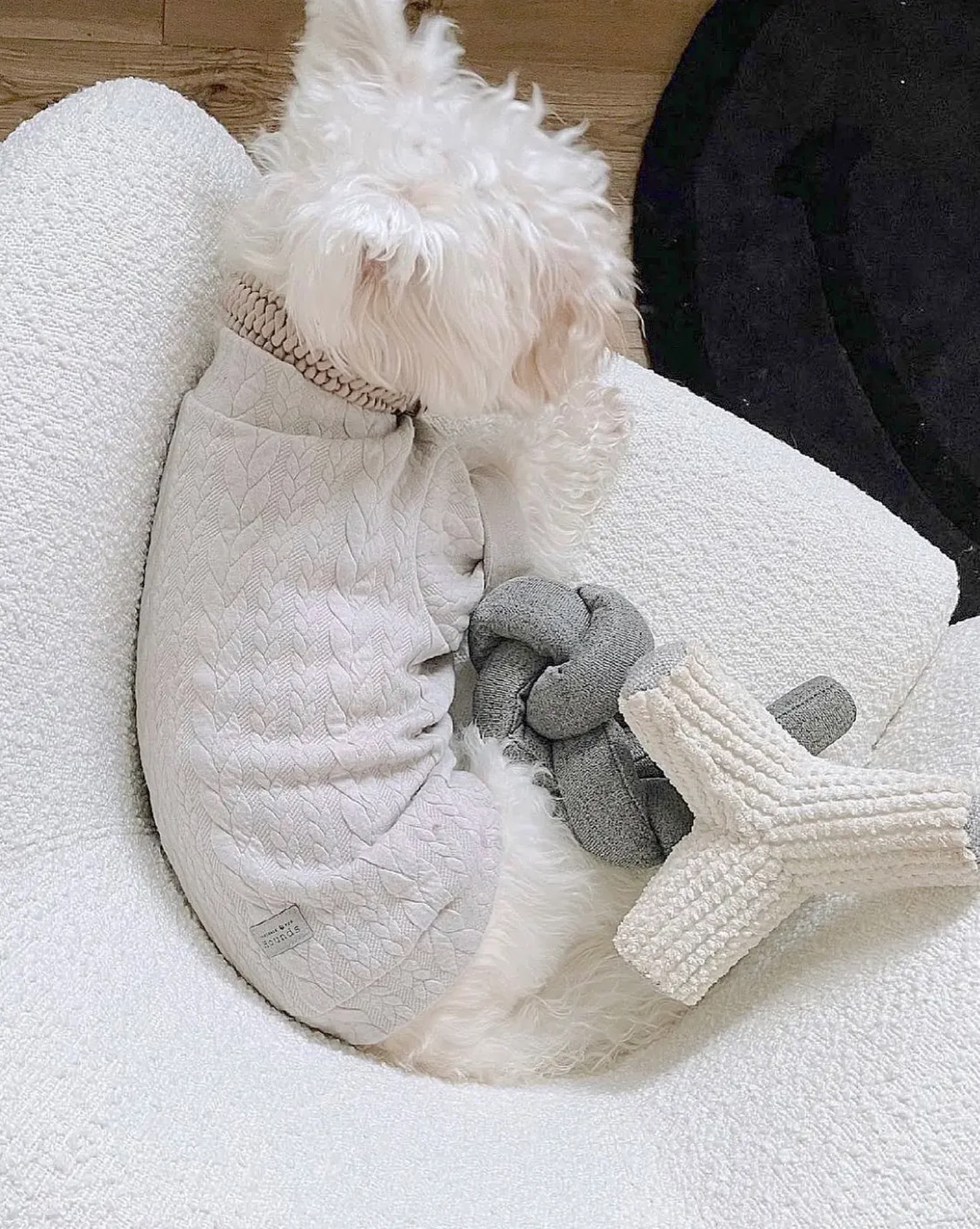 Breuer Crinkle & Squeak Dog Toy in Cream (FINAL SALE) - Image 7
