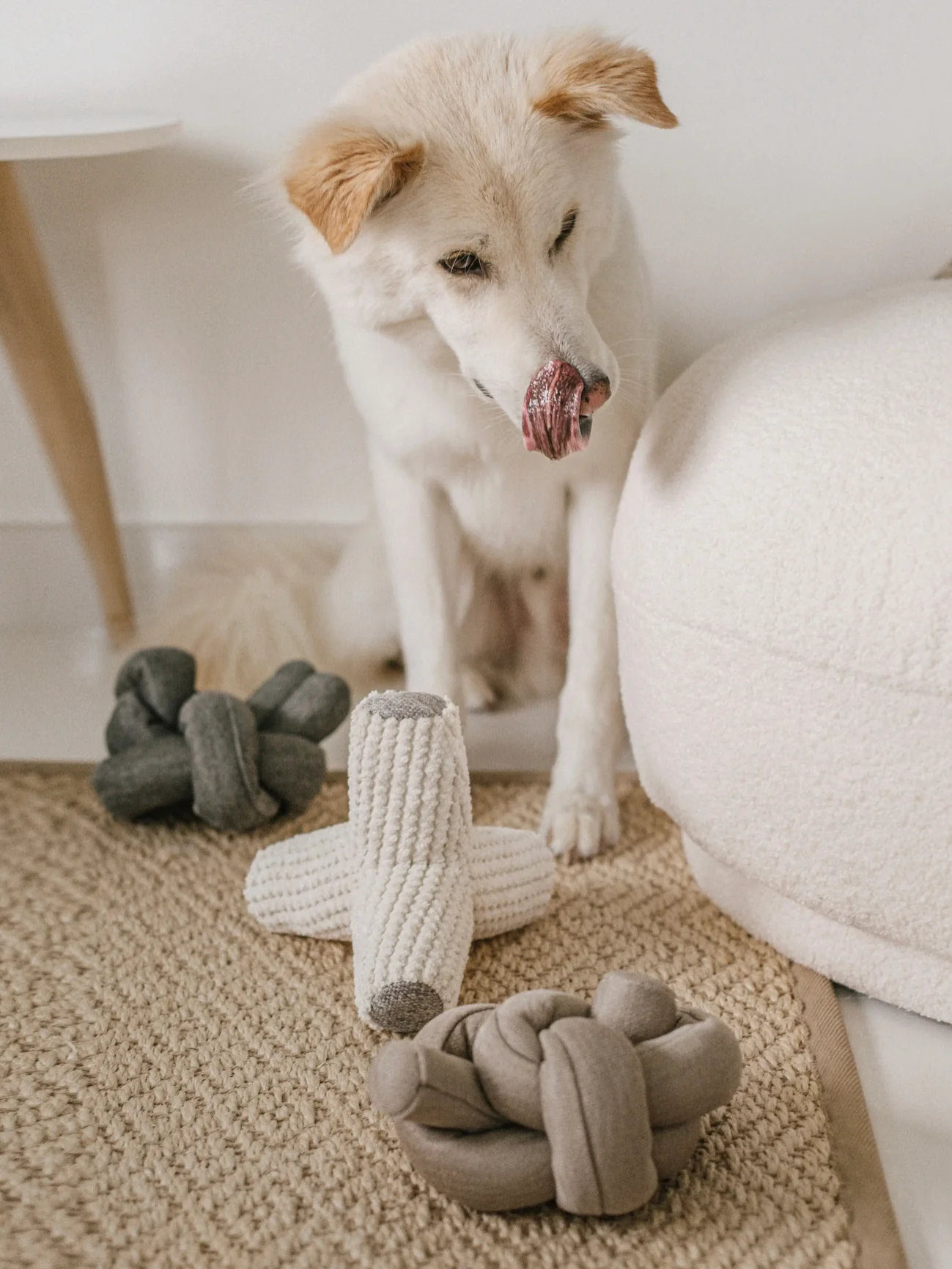 Breuer Crinkle & Squeak Dog Toy in Cream (FINAL SALE) - Image 8