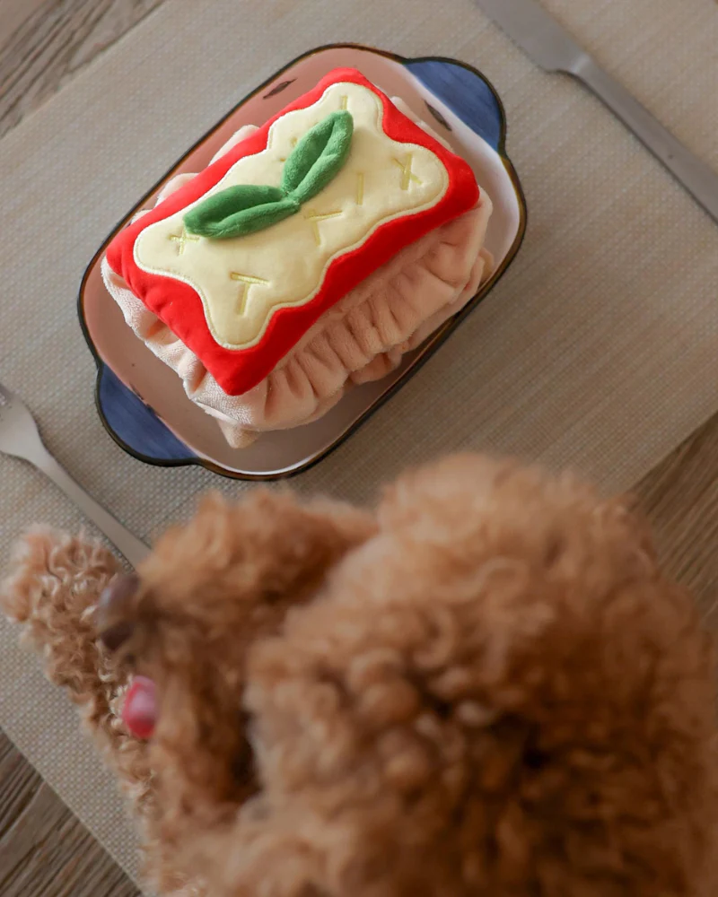Lasagna Nosework Dog Toy - Image 6