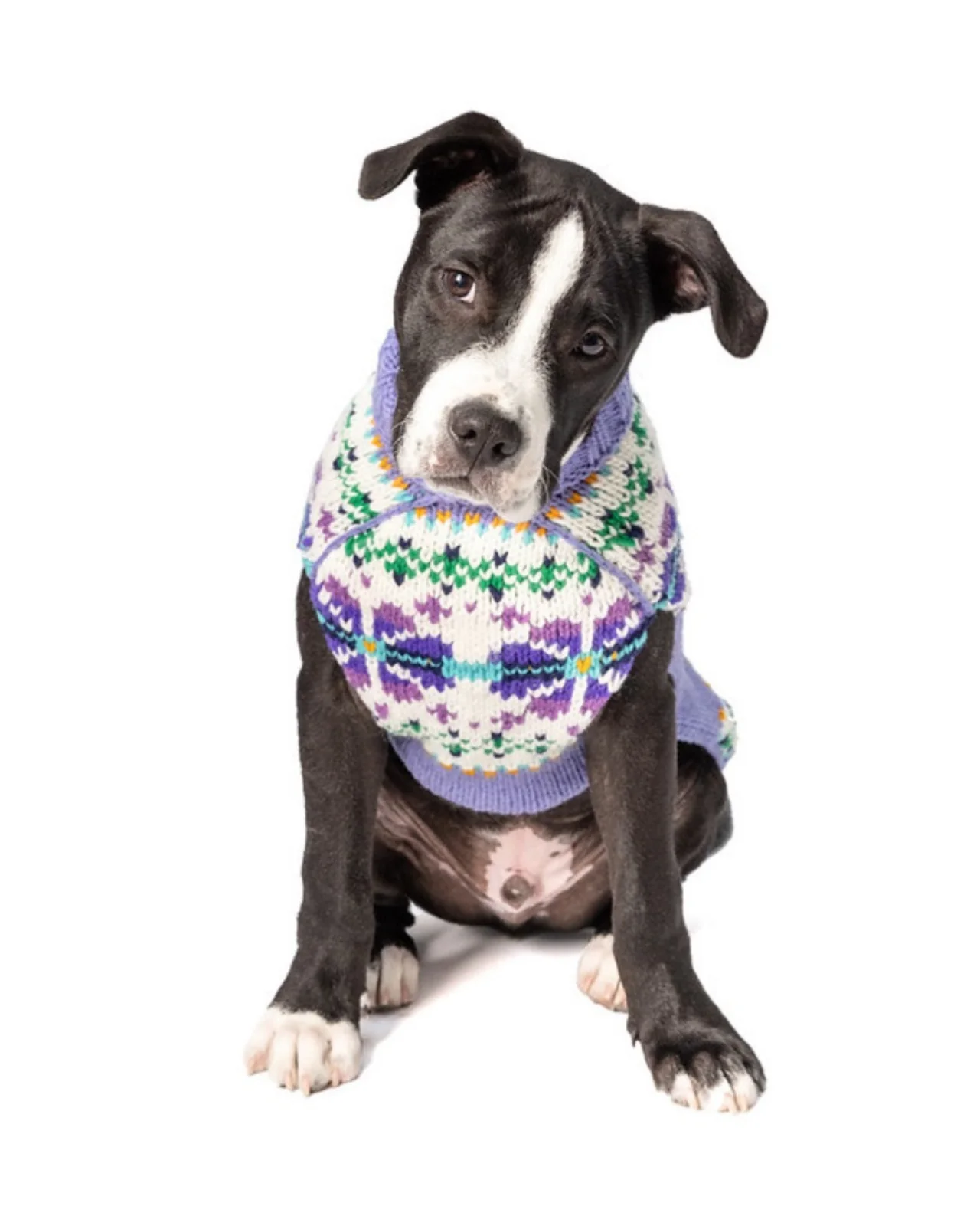 Lavender Flowers Wool Dog Sweater (FINAL SALE) - Image 3