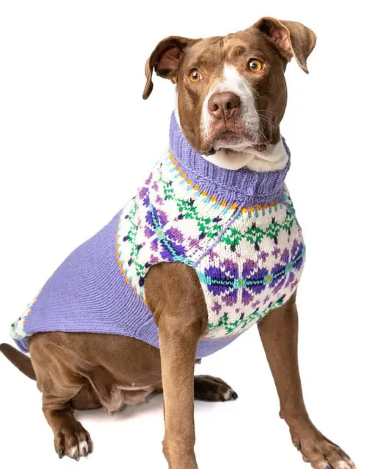 Lavender Flowers Wool Dog Sweater (FINAL SALE) - Image 4