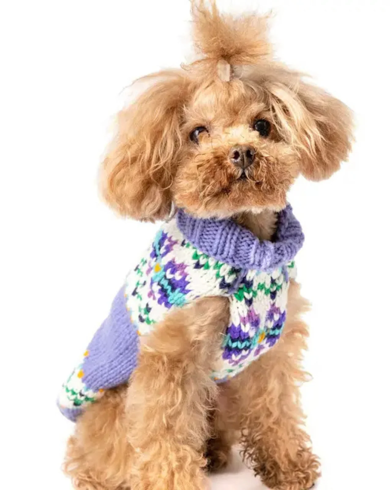 Lavender Flowers Wool Dog Sweater (FINAL SALE) - Image 5