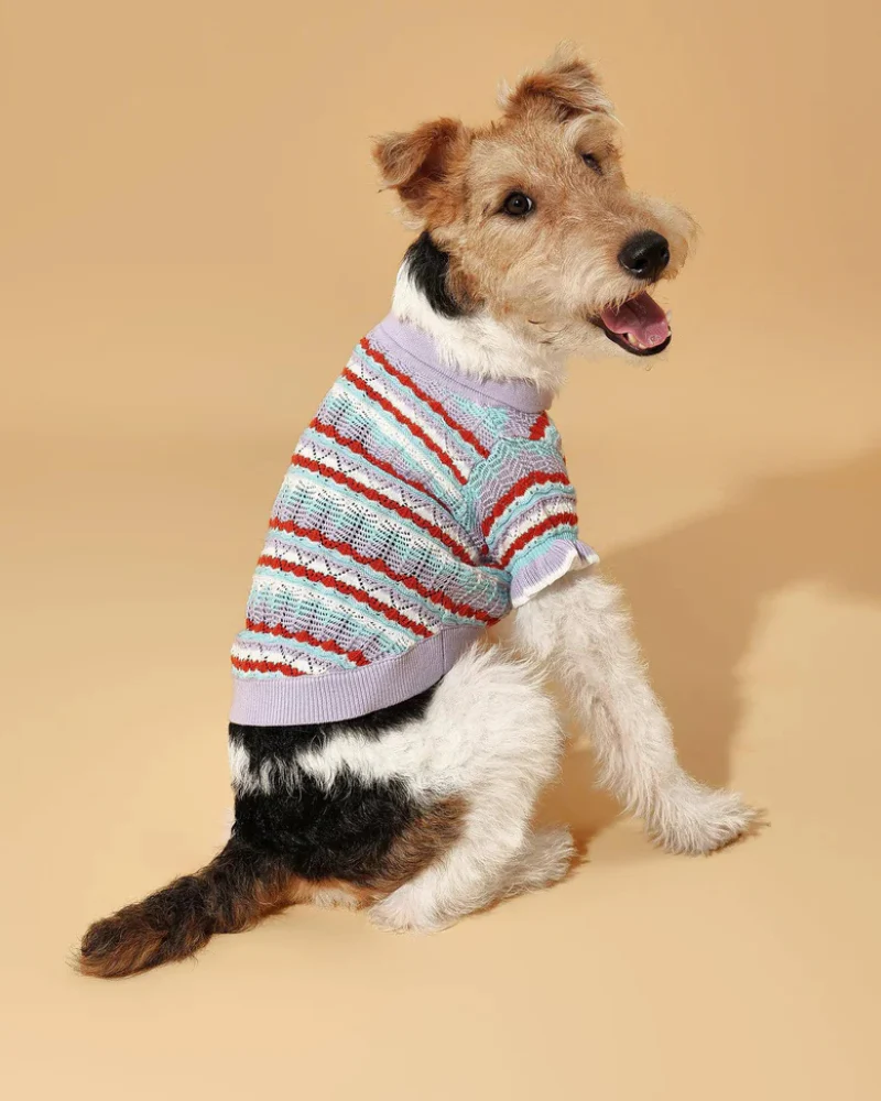 Lavender Ruffle Sleeve Crochet Shirt for Dogs - Image 3