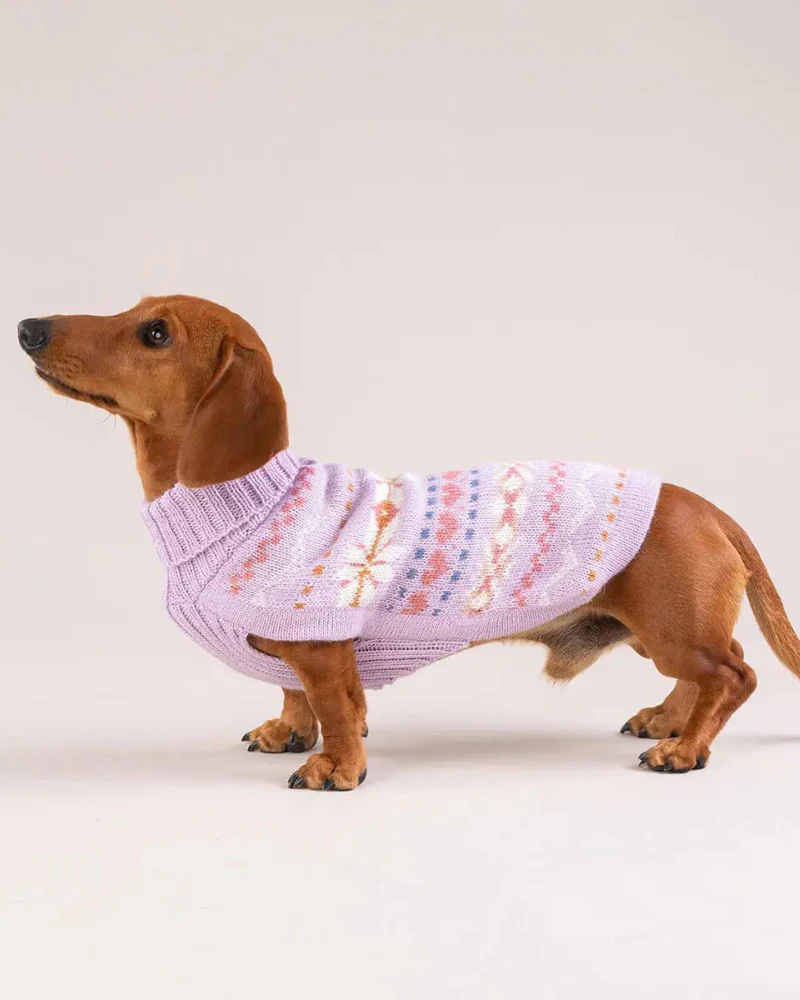 Lavender Sunrise Alpaca Blend Dog Sweater (FINAL SALE) - Image 2