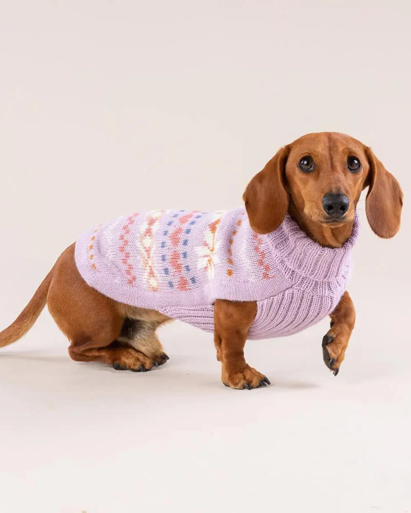Lavender Sunrise Alpaca Blend Dog Sweater (FINAL SALE) - Image 4