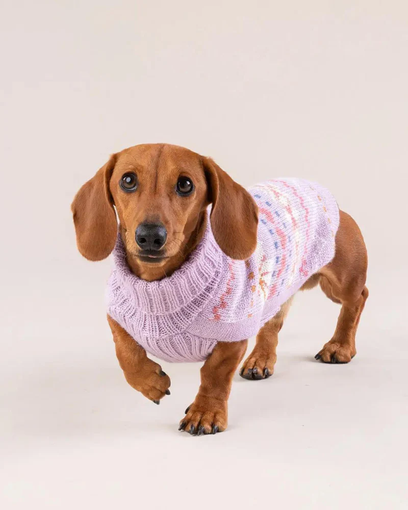 Lavender Sunrise Alpaca Blend Dog Sweater (FINAL SALE) - Image 5