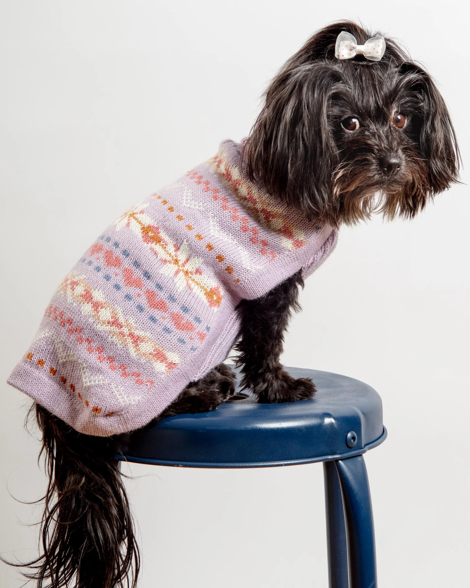 Lavender Sunrise Alpaca Blend Dog Sweater (FINAL SALE) - Image 7