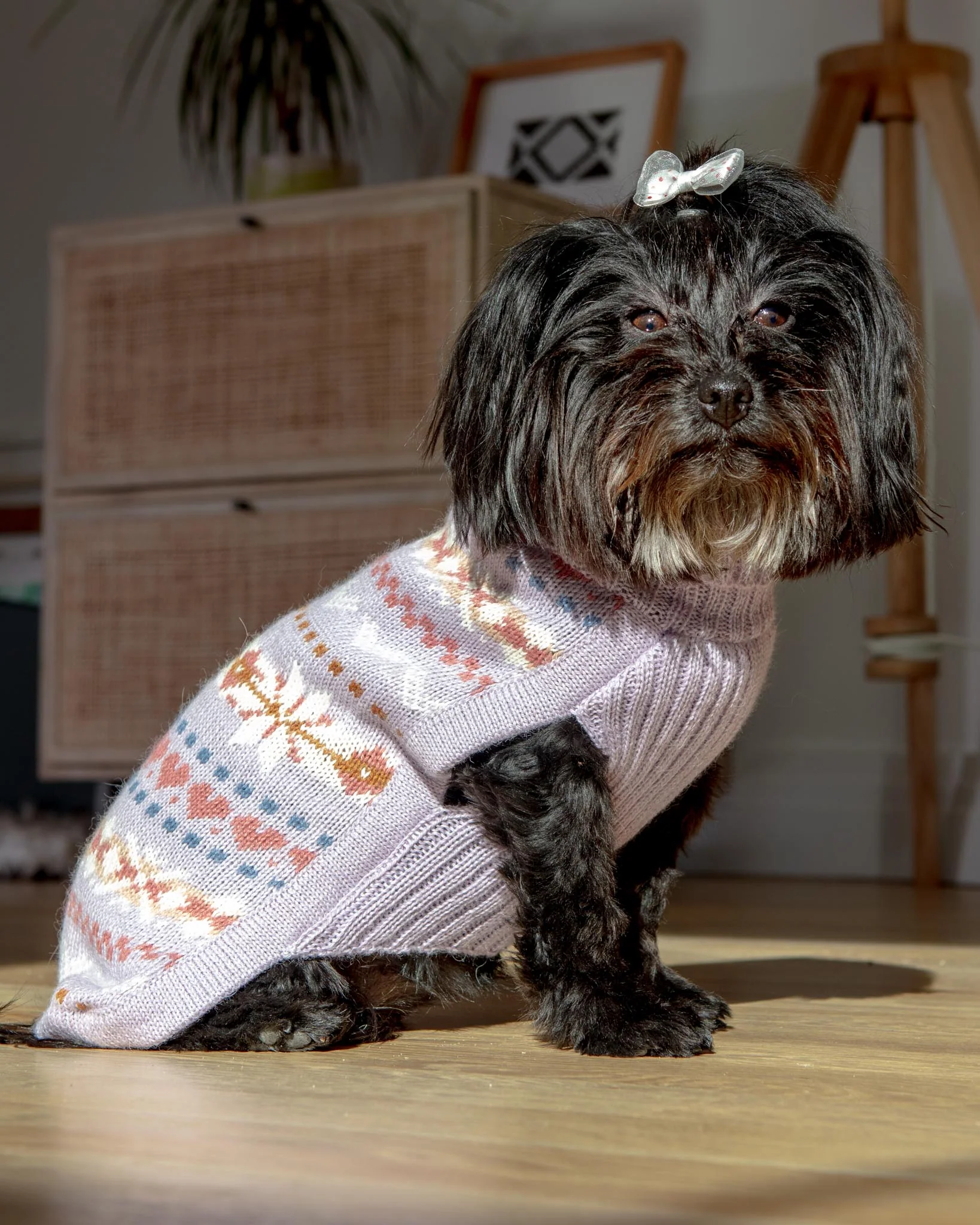 Lavender Sunrise Alpaca Blend Dog Sweater (FINAL SALE) - Image 8