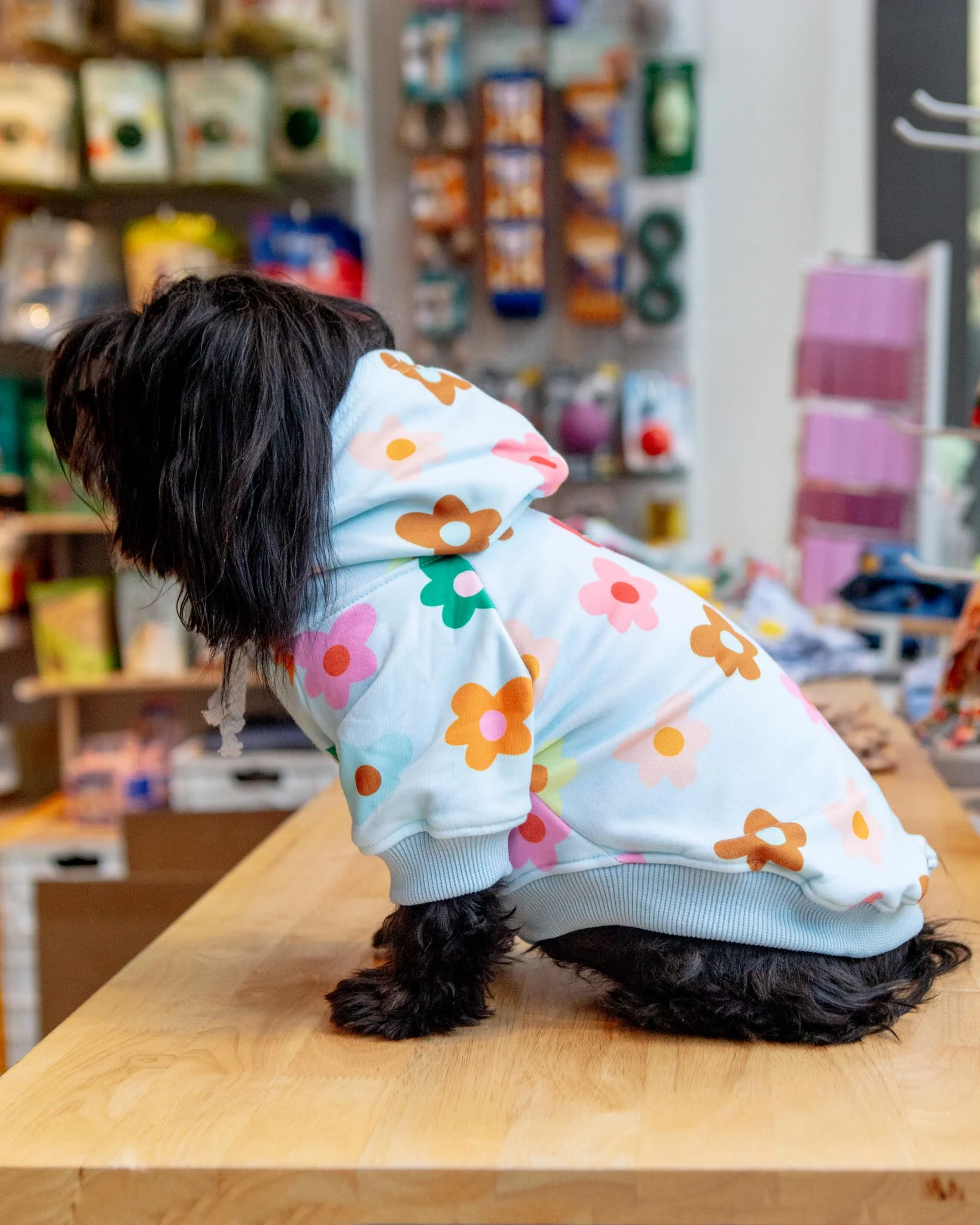 Le Fleur Dog Hoodie (FINAL SALE) - Image 2