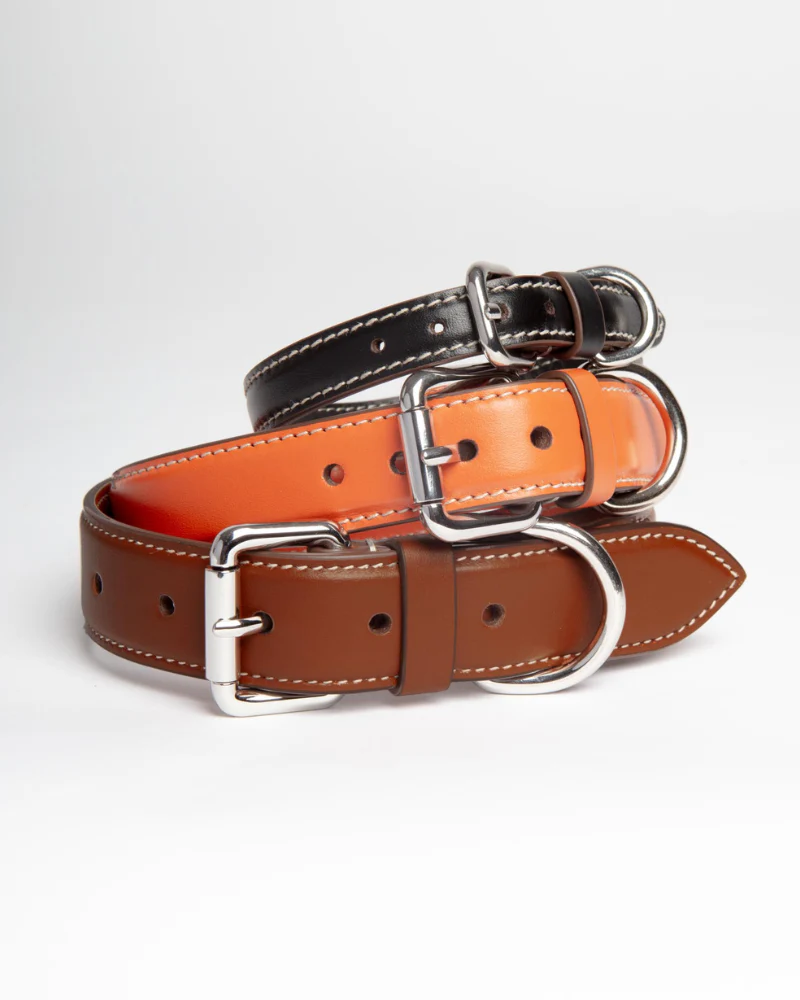 Leather Dog Collar in Orange (Made in Italy) - Image 3