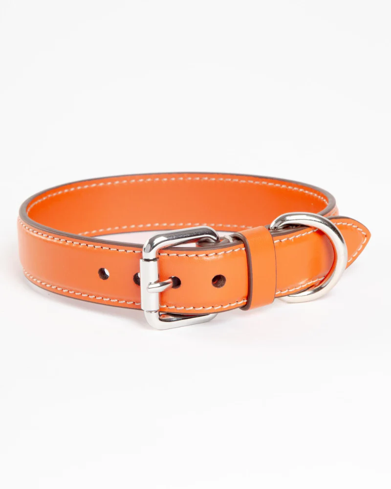 Leather Dog Collar in Orange (Made in Italy) - Image 4