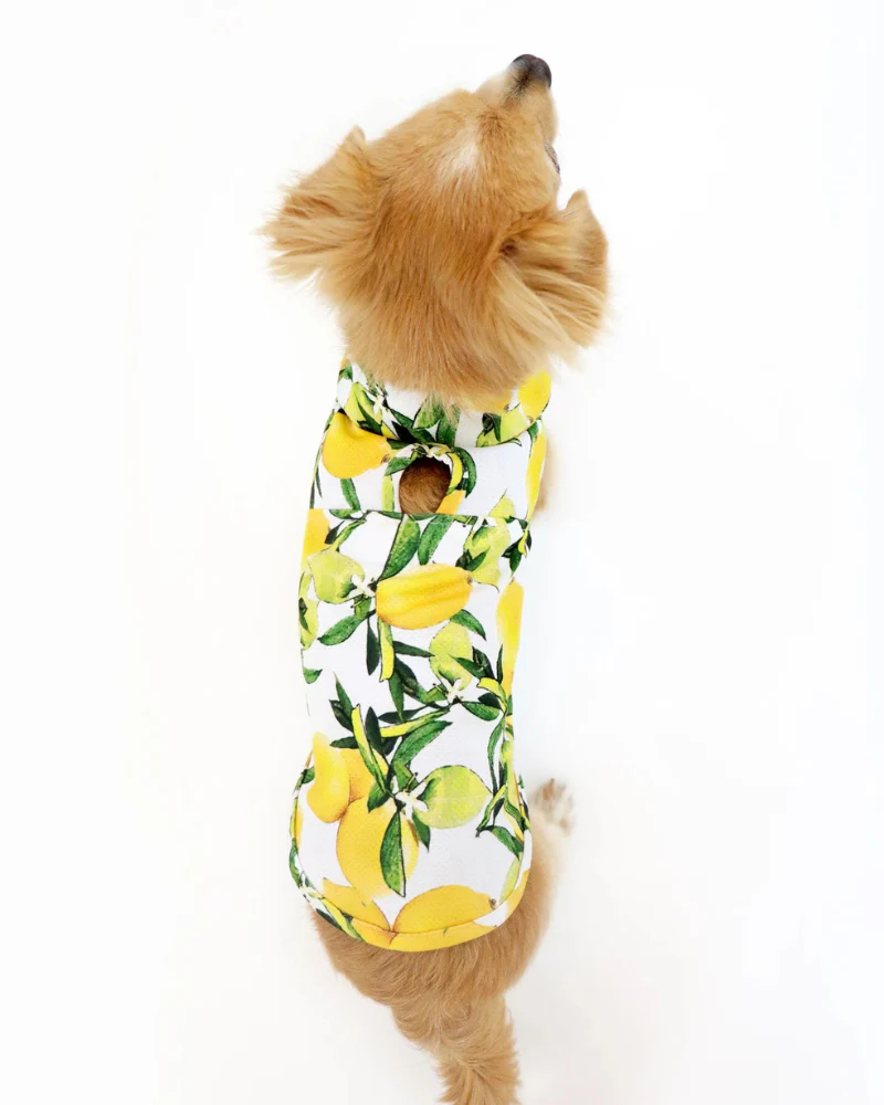 Lemon Dog Cooling Jacket (FINAL SALE) - Image 4