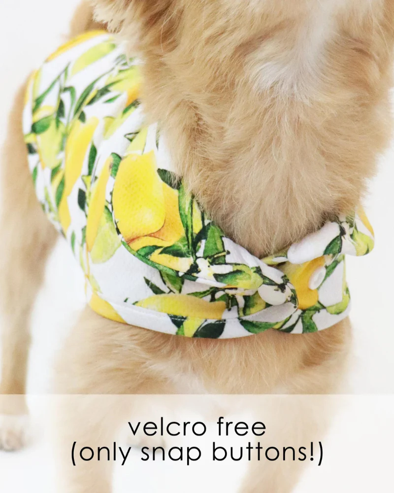 Lemon Dog Cooling Jacket (FINAL SALE) - Image 5
