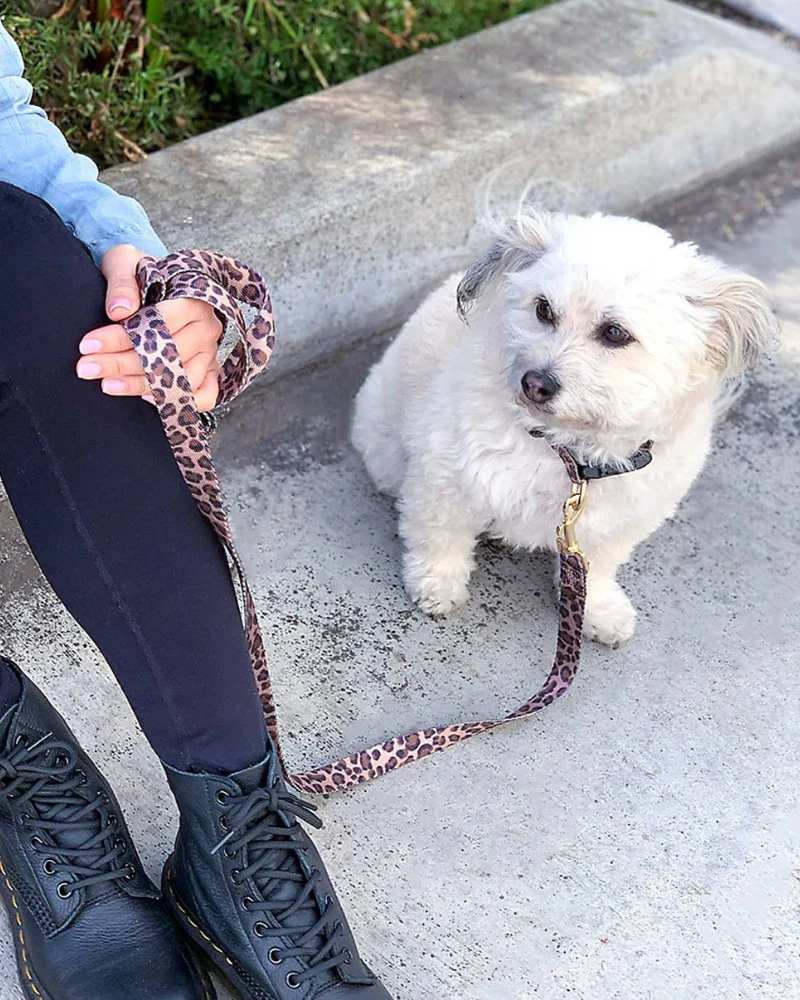 Leopard Dog Leash (FINAL SALE) - Image 3