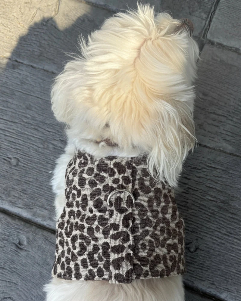 Leopard Print Dog Harness (Made in the USA) - Image 4
