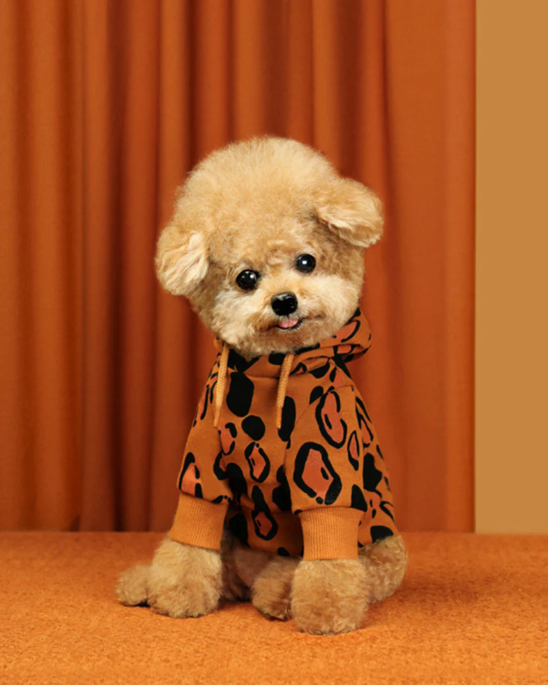 Animal Print Dog Hoodie in Brown (FINAL SALE) - Image 3
