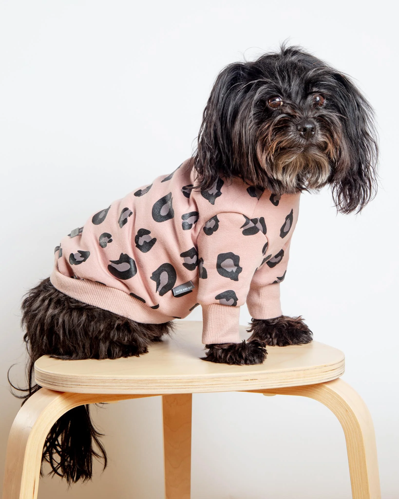 Leopard Print Dog Sweatshirt (FINAL SALE) - Image 4