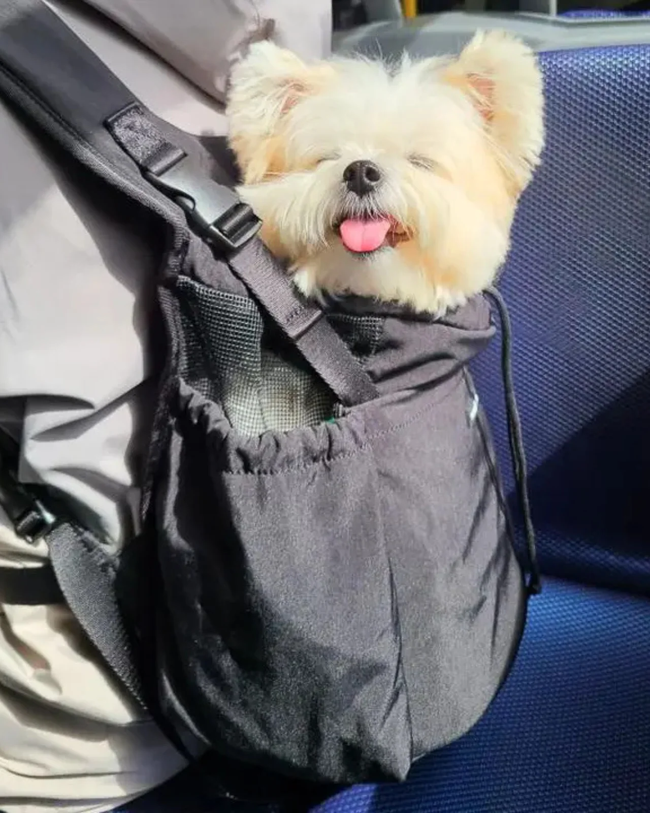 Let's Adventure Front & Back Pet Carrier - Image 3