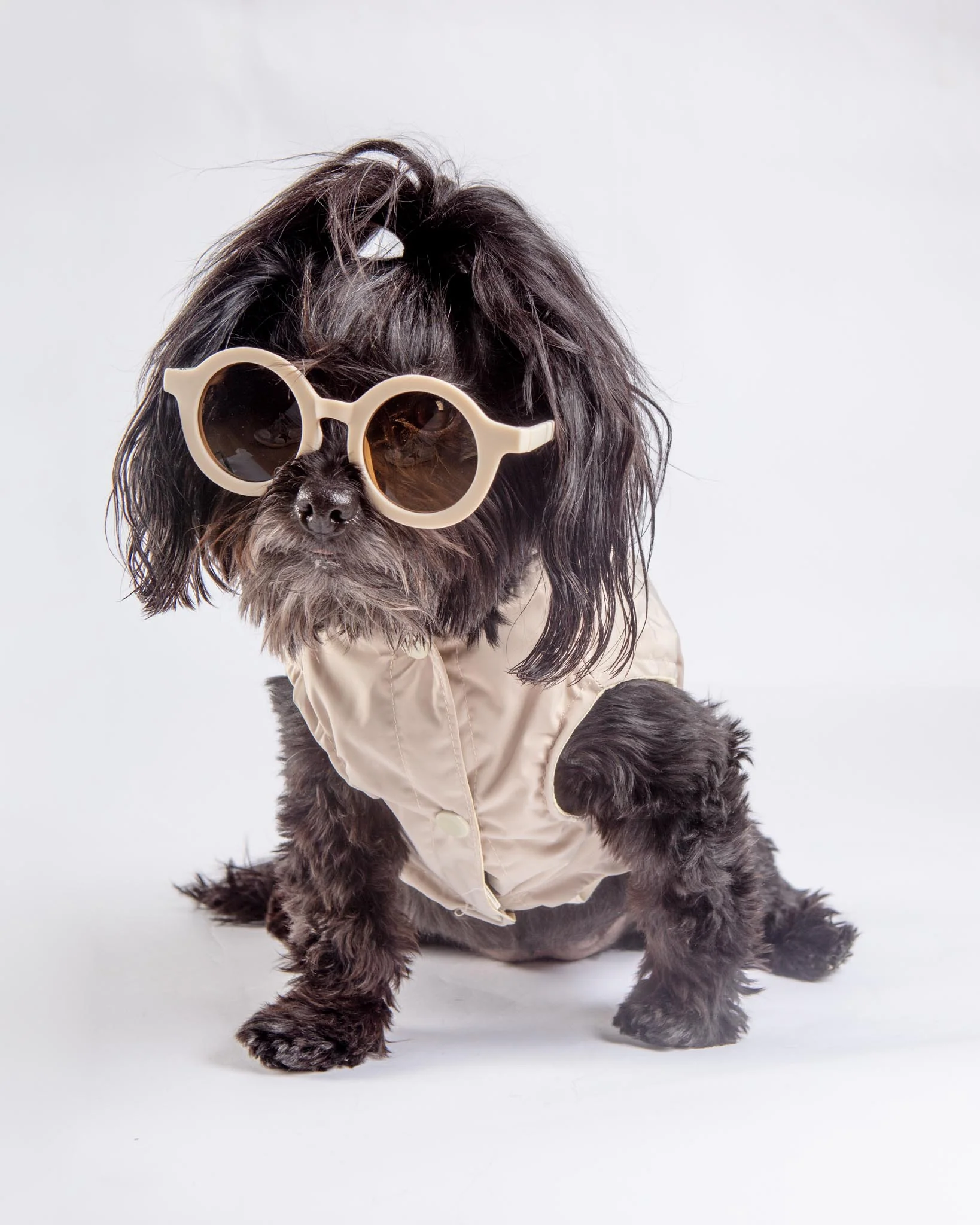 Life Dog Raincoat in Sandstone - Image 4