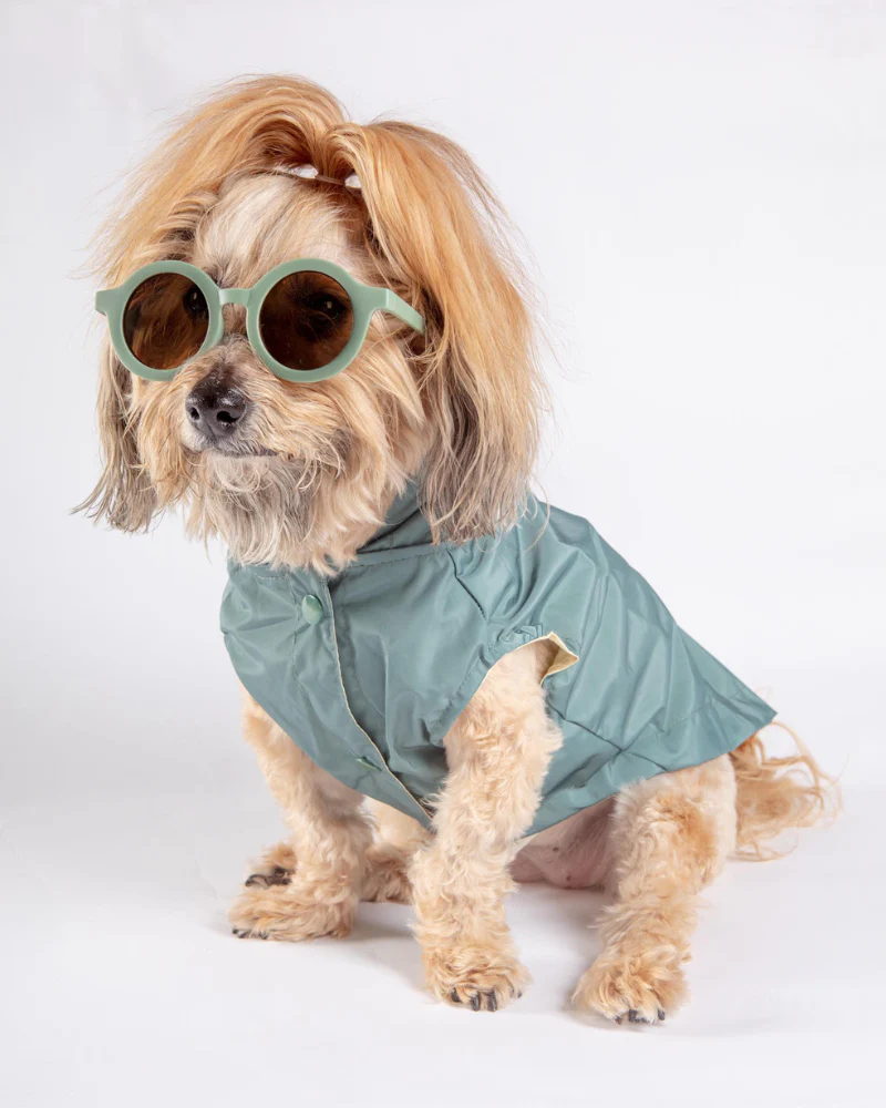 Life Dog Raincoat in Sandstone - Image 8