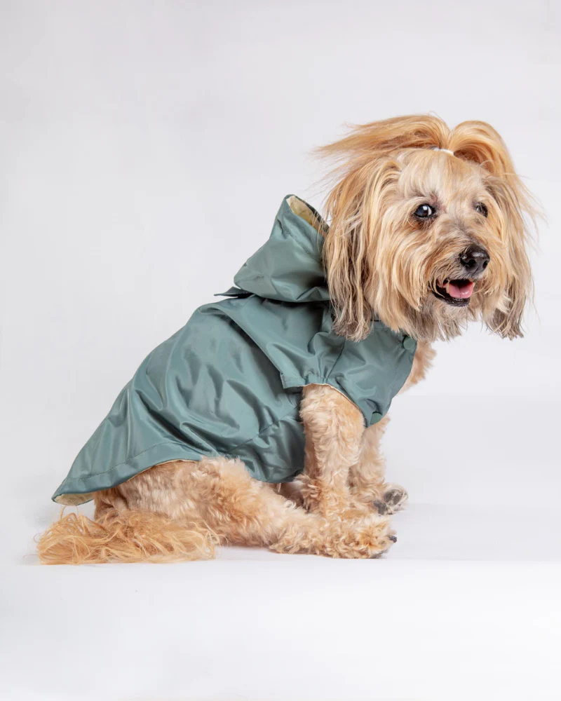 Life Dog Raincoat in Sandstone - Image 9