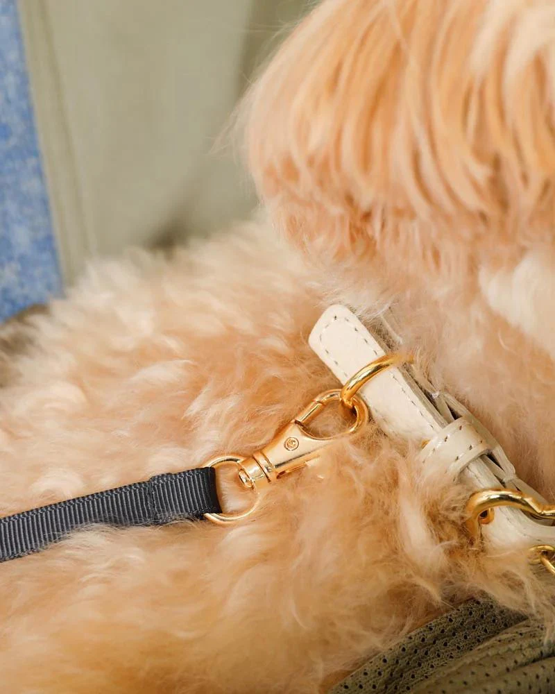 Lightweight Fabric Dog Sling - Image 10