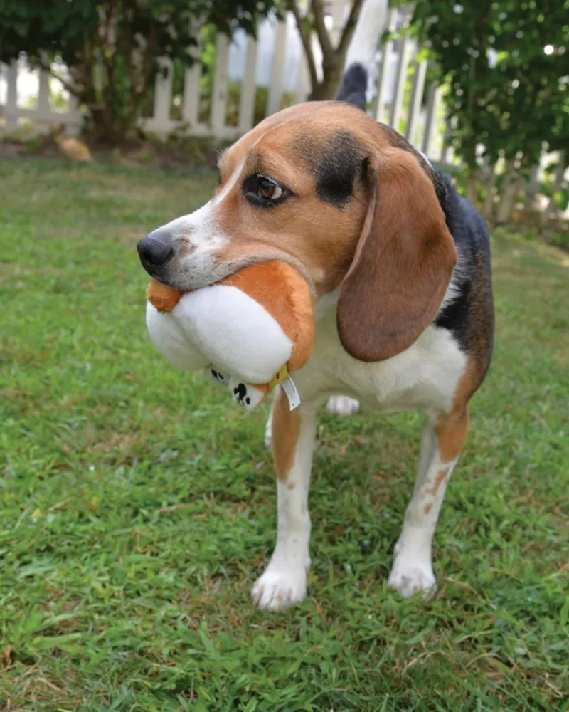 Lil' Cheekies Corgi Dog Squeaky Plush Toy - Image 2