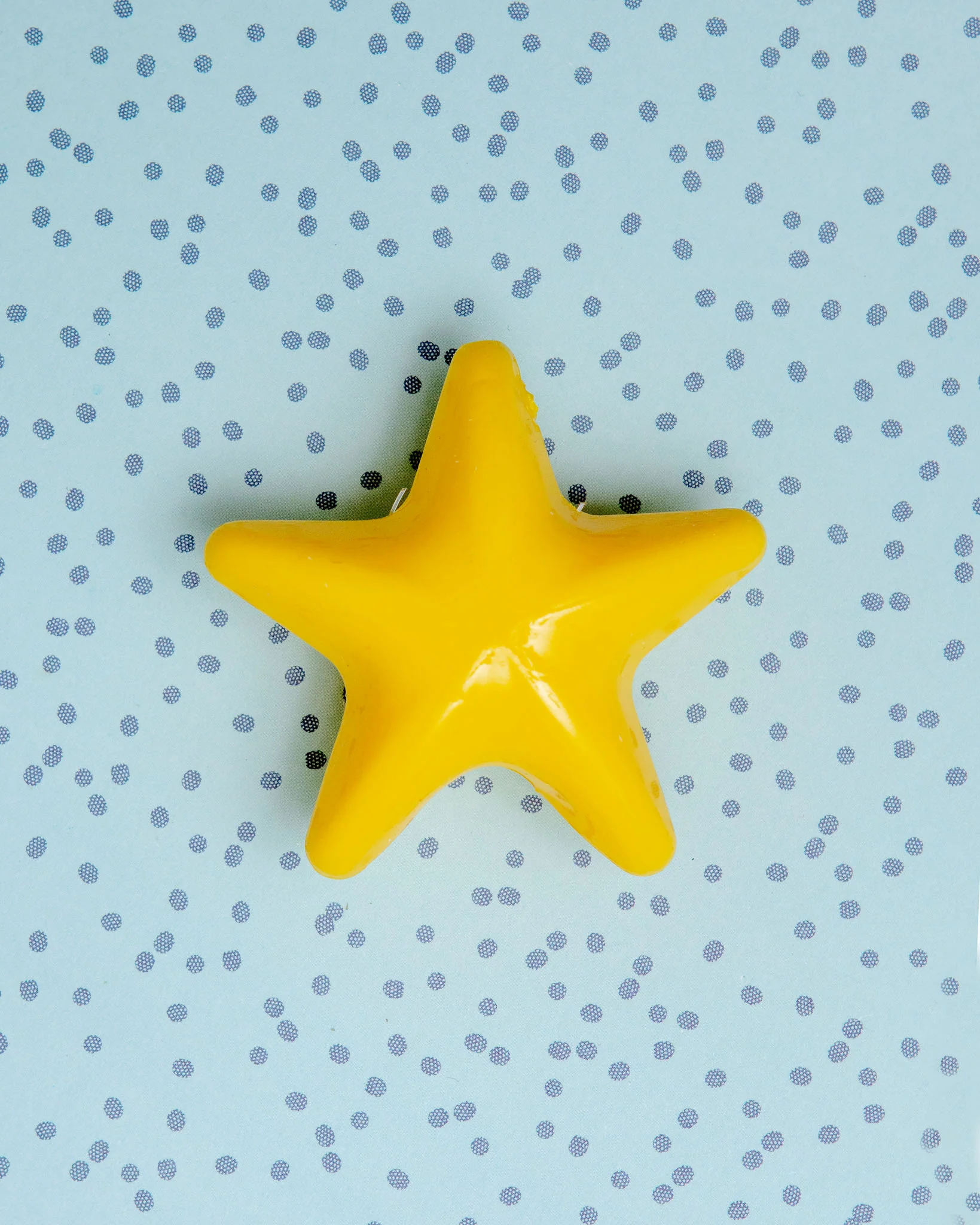 Lil Dipper Star Dog Toy
